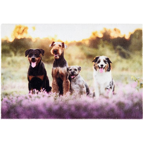 Felpudo de interior, deco print, 100% poliamida, 40 x 60cm, diseño grupo perro